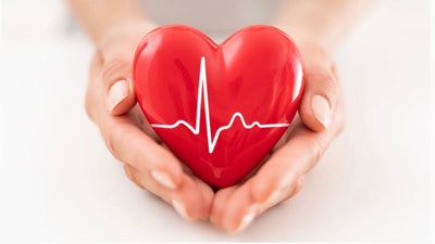 Essential Foods for a Low-Cholesterol Diet and Healthy Heart