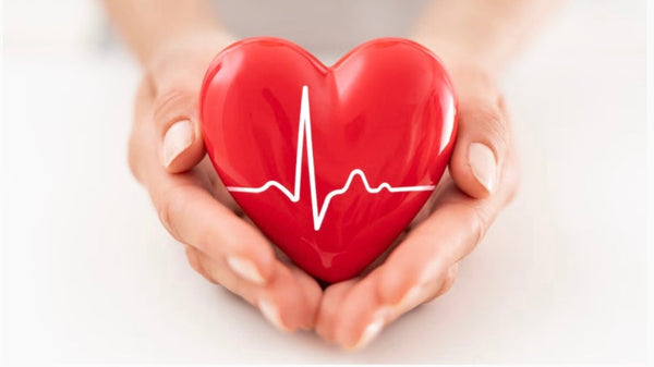 Essential Foods for a Low-Cholesterol Diet and Healthy Heart
