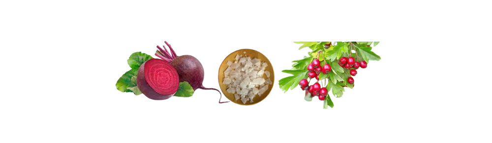 Beetroot, magnesium, and hawthorn berries used for plant-based blood pressure support and natural heart health