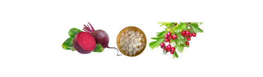 Beetroot, magnesium, and hawthorn berries used for plant-based blood pressure support and natural heart health